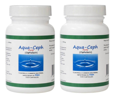 Aqua Ceph Forte Cephalexin - 500mg 100 Capsules 