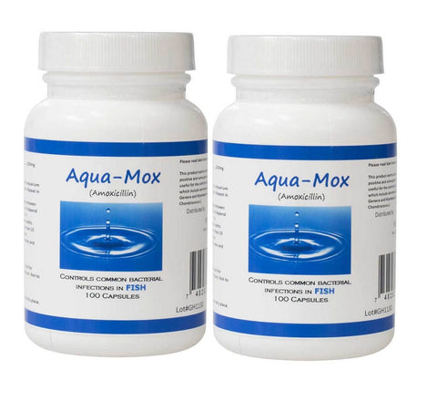 Aqua mox 250mg amoxicillin -100 Count