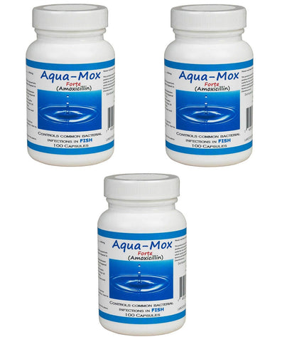 Aqua mox forte 500mg amoxicillin - 100 Count - 3 Pack