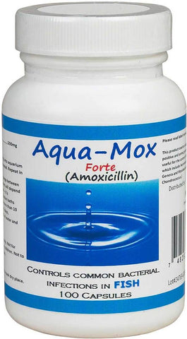 Aqua mox 500mg amoxicillin - 100 Count