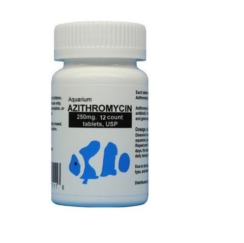 fish azithromycin 12 tablets