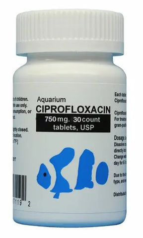 Fish Ciprofloxacin : Trusted Pet Pharmacy | Thefishaid – Fishaid