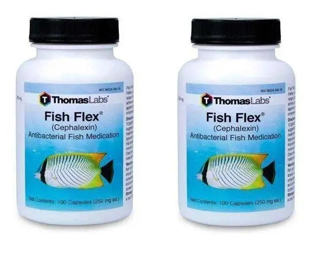 Fish Flex - Cephalexin 250 mg : Lowest Price Guaranteed | Thefishaid ...