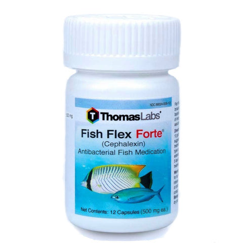 Fish Flex Forte - Cephalexin/Keflex 500 mg Capsules - 12 Count