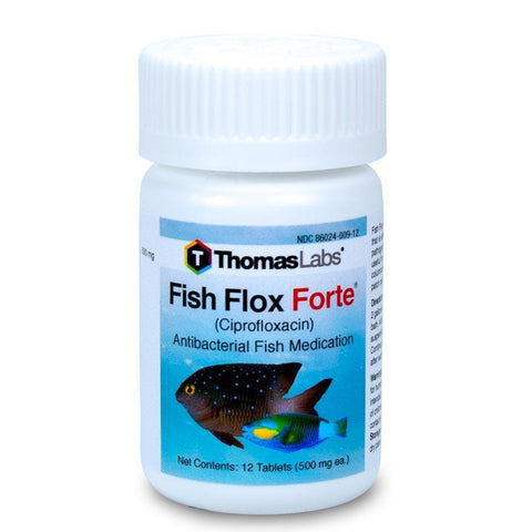 Fish Flox Forte - Ciprofloxacin 500 mg Tablets - 12 Count