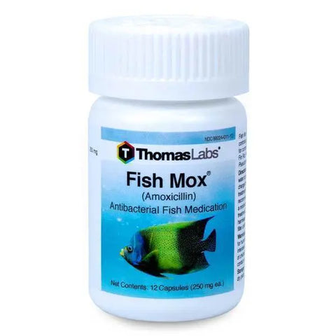 Fish Mox - Amoxicillin 250 mg Capsules - 12 Count