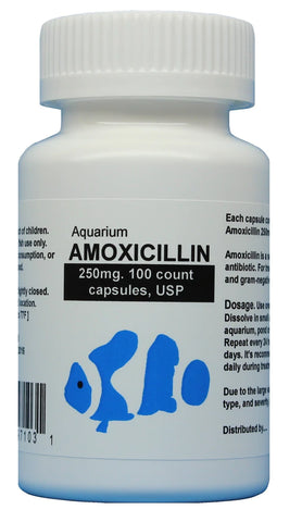 fish aid antibiotics amoxicillin 250 mg 100 count